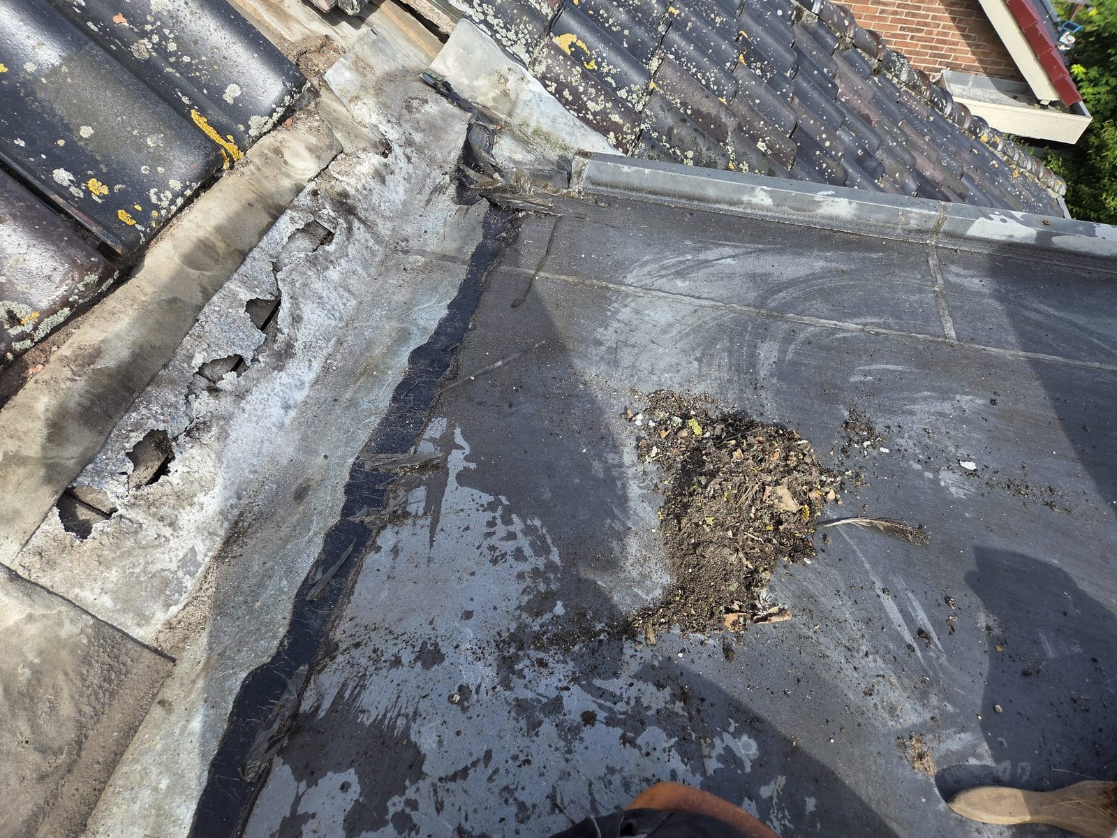 Daklekkage en reparatie